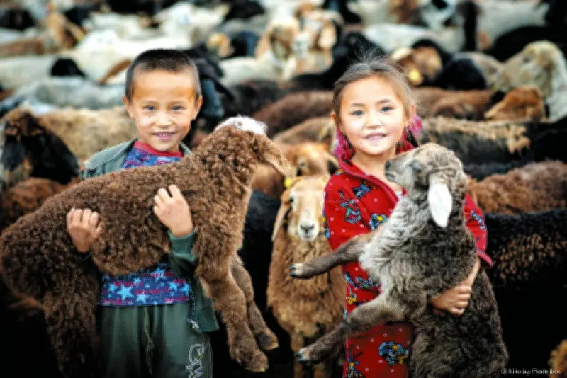 ウズベキスタンとカザフスタンの文化と暮らしを紹介、東京写真月間2026開催