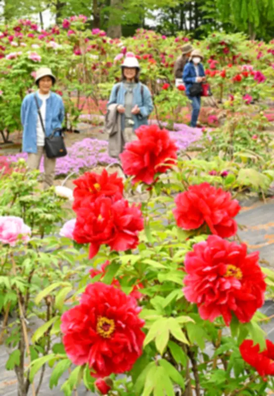 福島県の復興計画、新たなステージへ　2027年度までの方針決定