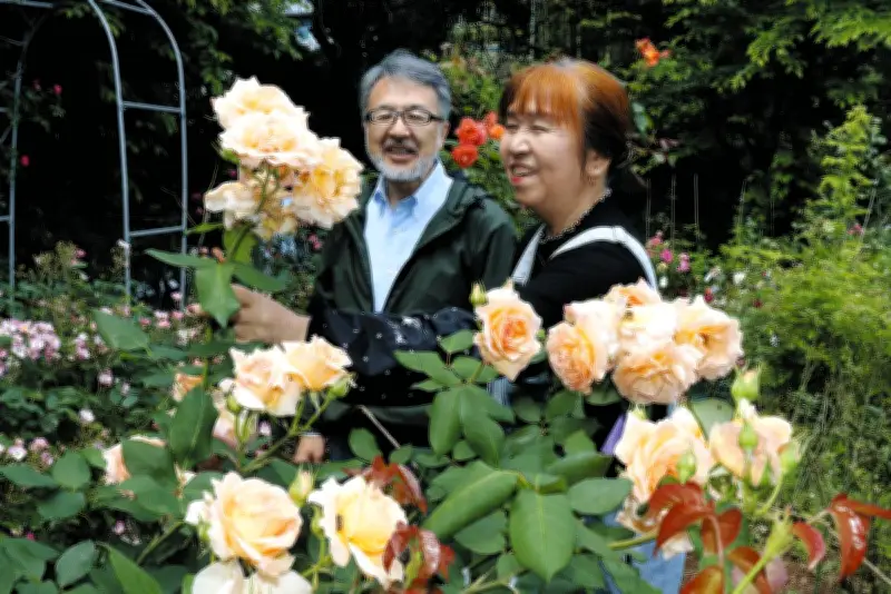 川崎の個人農園でバラ約300種見頃、カラフルな花園が一般公開中