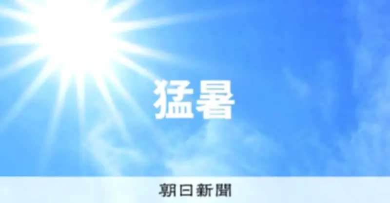 東京都心で今年最高の31.6度、週末も真夏日続く見通し