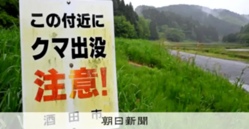 山形県内でクマ被害相次ぐ、死亡事故なら38年ぶり 山菜採り中に襲われる