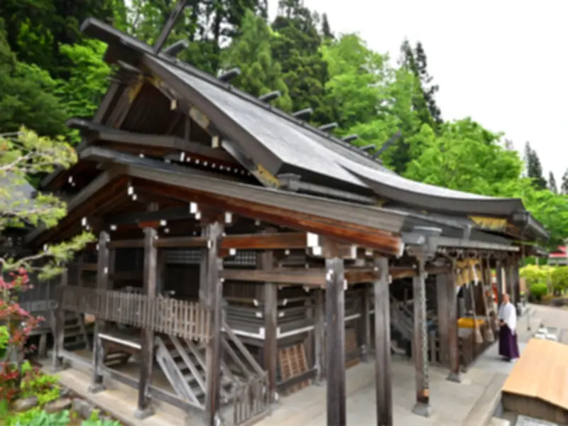 奈良時代創建の大山祇神社、樹齢400年の杉並木と黒糖まんじゅうが魅力