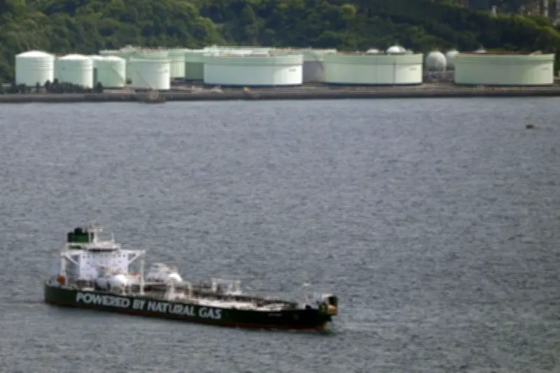 政府、5月下旬にロシアへ経済訪問団派遣へ 三井物産や商船三井が参加