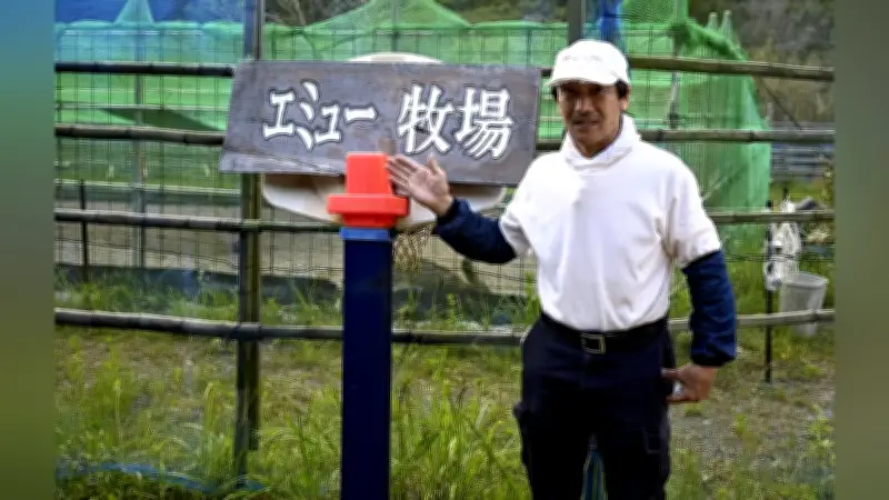 静岡・森町の耕作放棄地がエミュー牧場に、74歳の挑戦