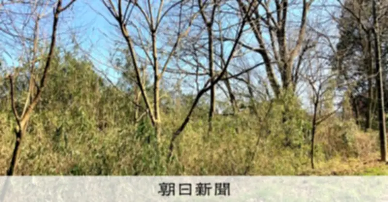 原野商法の二次被害が深刻化、相談者の9割が60代以上に