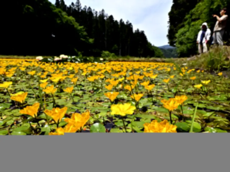 福島県内でAIを活用した新たな地域活性化プロジェクト始動