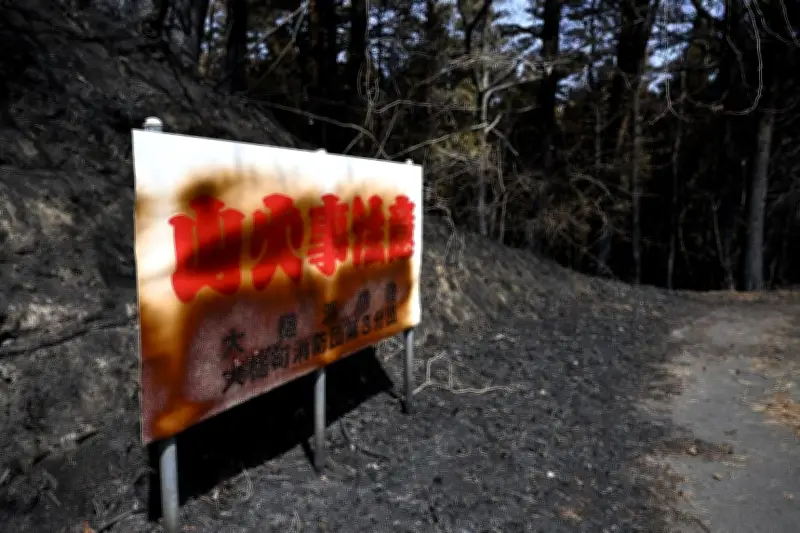 岩手山火事、乾燥と強風で大規模化　消火活動は困難極める