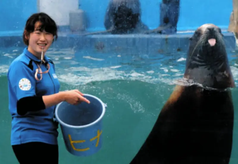 三重・伊勢シーパラダイスで飼育員のランチを覗き見！連休中も大賑わい
