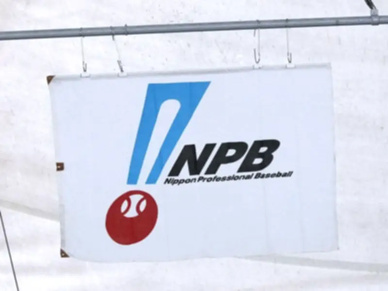 プロ野球、危険スイングで退場処分へ　ＮＰＢが今季中にも適用検討