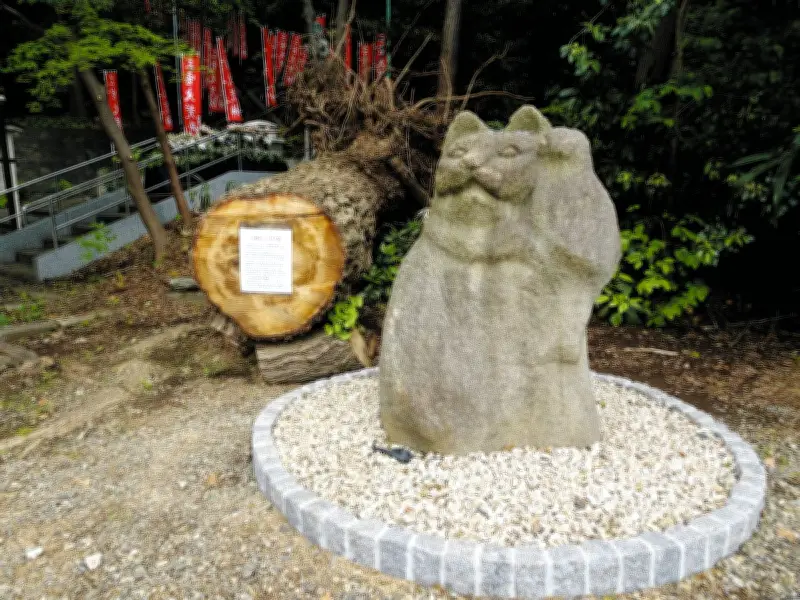 倒木をひらりとかわした招き猫、横浜・総持寺で話題に
