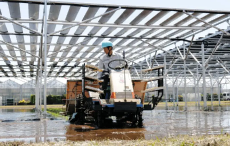 千葉大キャンパスでペロブスカイト太陽電池の農業活用実証実験開始