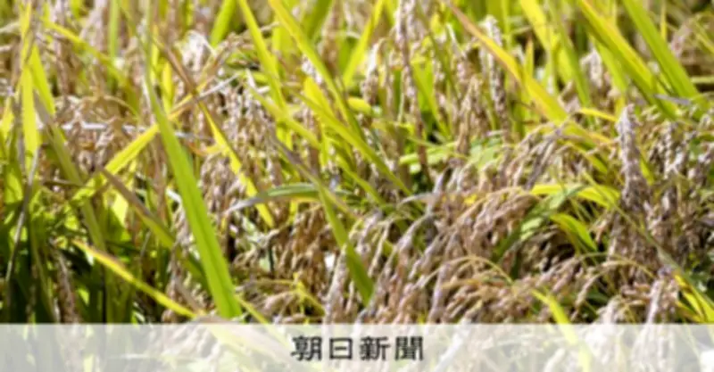 連載：揺れるコメ改革 深掘り「貧乏人は麦飯を」当時、実は安かったコメ 池田勇人の持論実現せず