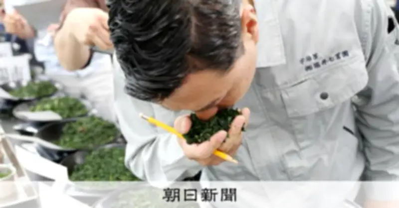 宇治抹茶原料てん茶、初市で最高値更新 需要急増で争奪戦
