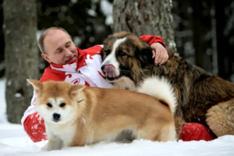 ロシア贈呈の犬たちの動向は謎に包まれたまま 大統領公邸で飼育か