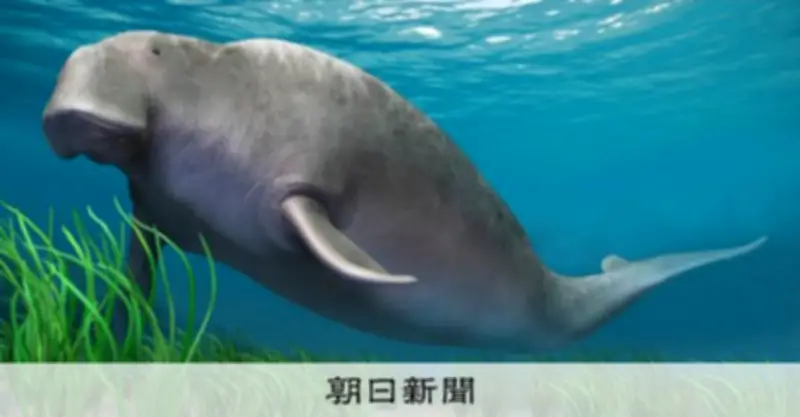 絶滅カイギュウの食性、化石脂質で解明 北大研究チーム世界初