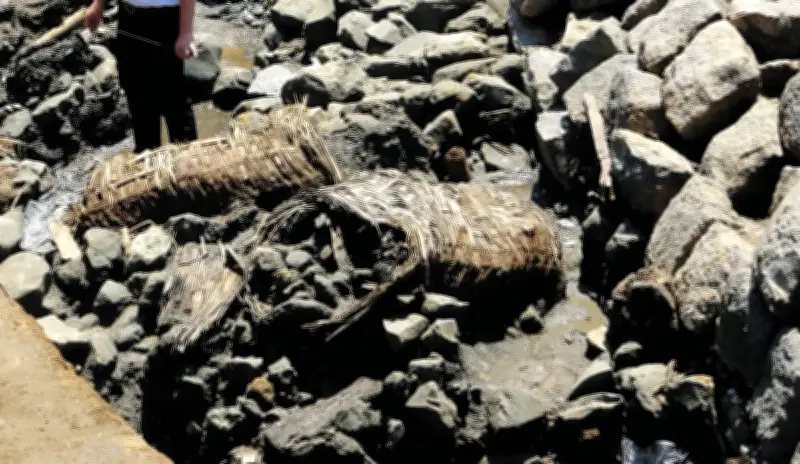 神奈川台場跡で蛇籠が全国初出土、幕末の水防技術を示す貴重な発見