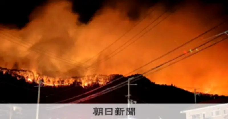 津波後に再建した家に迫る山火事 住民の葛藤「逃げなきゃ…でも」