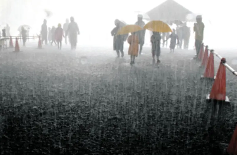 ゲリラ豪雨を体験、傘は無意味「完全武装」でも動けず 防災科研が公開