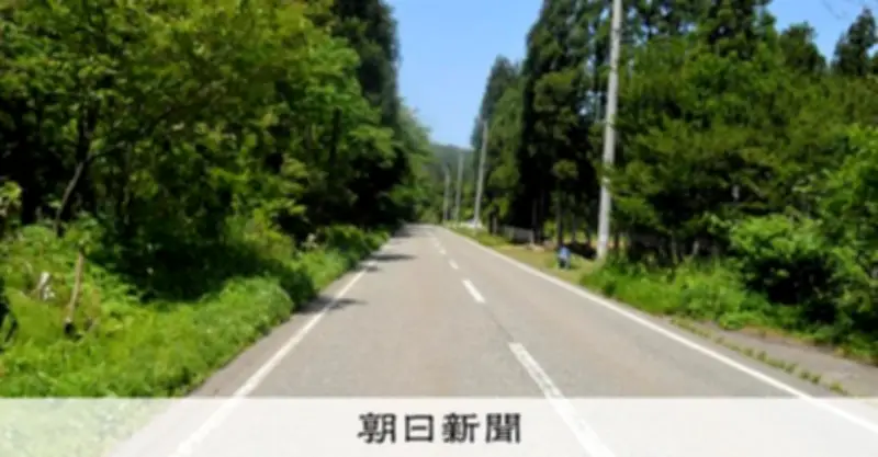 「クマがいた」ランナー目撃でマラソン大会中止 新潟・柏崎