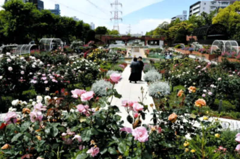 江戸川区のフラワーガーデンで春バラ見ごろ、甘い香りで来園者を癒やす