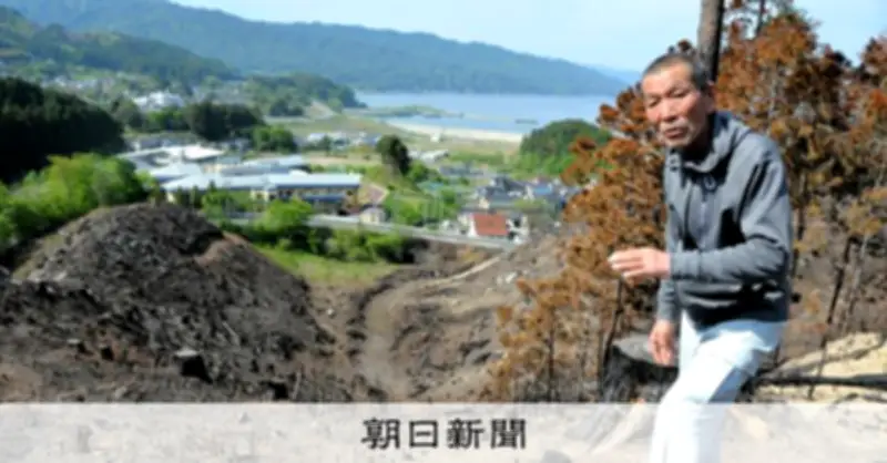 山林火災で保水力失った山の下のわが家 手入れ不足の森、再生に課題山積