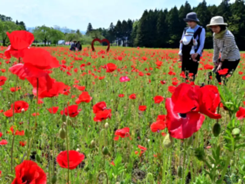 福島県の新たな観光戦略、地域活性化へ独自の取り組み