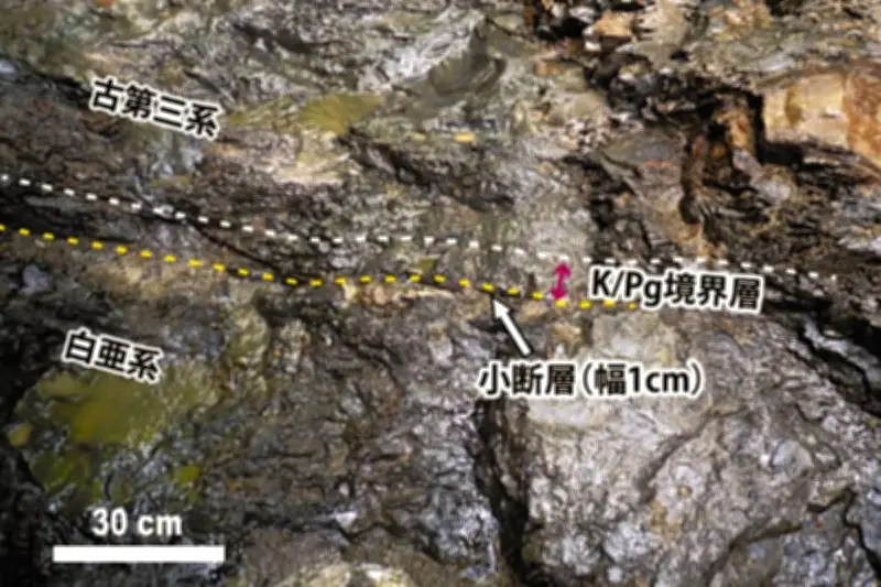 北海道の地層から恐竜絶滅の痕跡発見、北東アジアで初