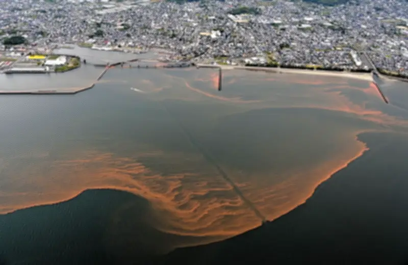 三河湾に紅色のグラデーション拡がる　愛知・蒲郡市沖で赤潮発生