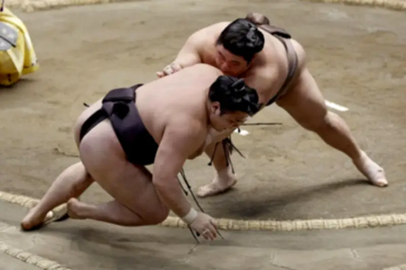 伯乃富士、逆襲で霧島破りＶ望みつなぐ　両親の前で１０勝目