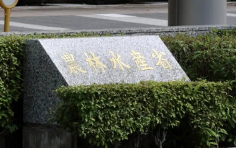農業白書「令和の米騒動」を反省、実態把握消極的で価格高騰と分析