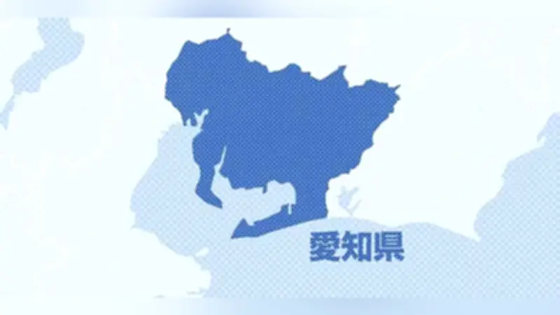 愛知・豊川の公園駐車場で２歳女児はねられ死亡、８２歳男を逮捕