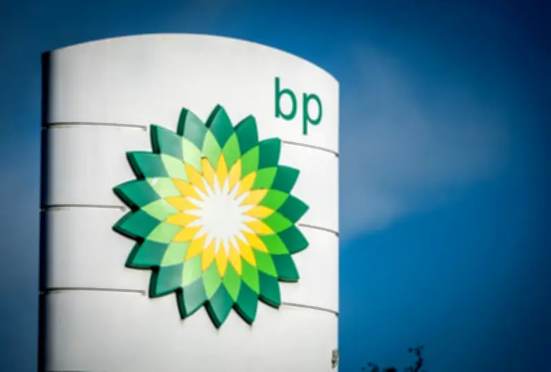 英BP会長、就任8カ月で解任 企業統治の懸念理由に