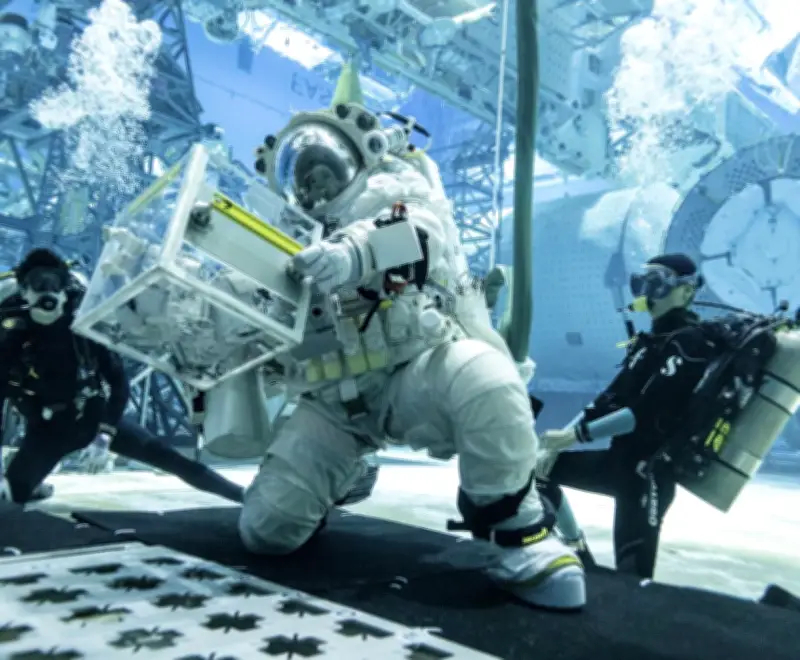 米民間宇宙基地に日本人常駐へ、アクシオムCEOが期待表明