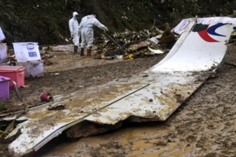 中国機墜落、燃料故意停止の可能性 米CNN報道 132人全員死亡