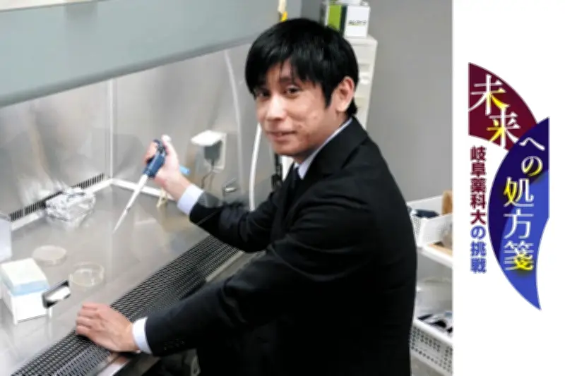 iPS細胞から作った「ミニ臓器」で薬の評価精度向上、岐阜薬科大が研究