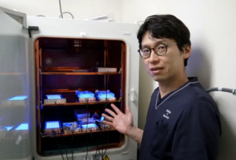 青色LEDで骨腫瘍治療へ、切除不要の新手法を徳島大が開発