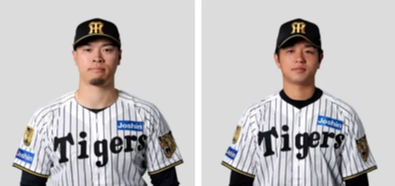 阪神佐藤と高橋がセ月間MVP、パは近藤と平良が受賞