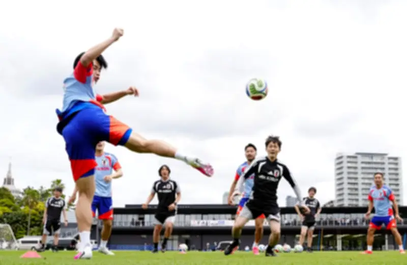 サッカーW杯日本代表、上田らが千葉で練習　鈴木唯も合流