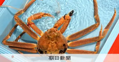 カニは元々前歩きだった？2億年前の進化の謎を日米台が解明