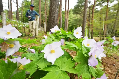 福島県で新たな観光振興策、地元経済活性化へ