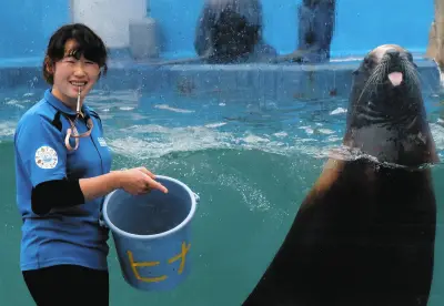 三重・伊勢シーパラダイスで飼育員のランチを覗き見！連休中も大賑わい