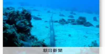 海底ケーブル防護策の骨子案、多ルート化や官民連携推進へ　総務省会議