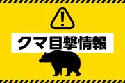民家の庭に居座ったクマ1頭を麻酔銃で捕獲　長野・安曇野市