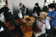 都庁前の食品配布会、利用者が初の1000人超え 物価高で生活苦深刻化