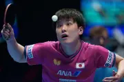 卓球男子、10年ぶり決勝進出　世界選手権団体戦で台湾を3-0撃破