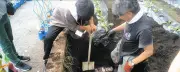 座間市立立野台小で25年前のタイムカプセル発掘、全員返却へ呼びかけ