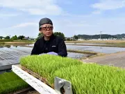 福島県沖で震度4の地震発生、津波の心配なし