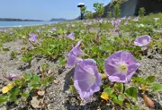 福島県で震度5弱の地震、津波の心配なし