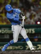 日本ハムが逆転勝ち、加藤貴5勝目　阪神は拙攻響く