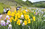 福島県沖でマグニチュード5.2の地震、津波の心配なし